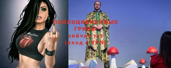 таблы Липки